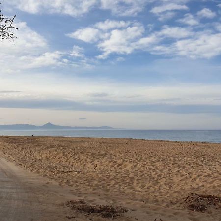 Assagador Del Palmar, 1 Dormitorio, Playa A 50M, By Bookinデニア エクステリア 写真